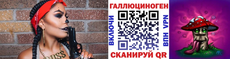 Галлюциногенные грибы Psilocybe Ессентуки